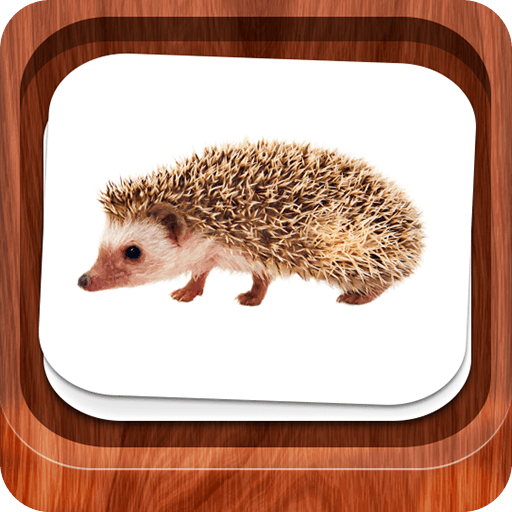 Little flash cards icon