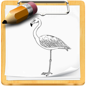 How To Draw Birds icon