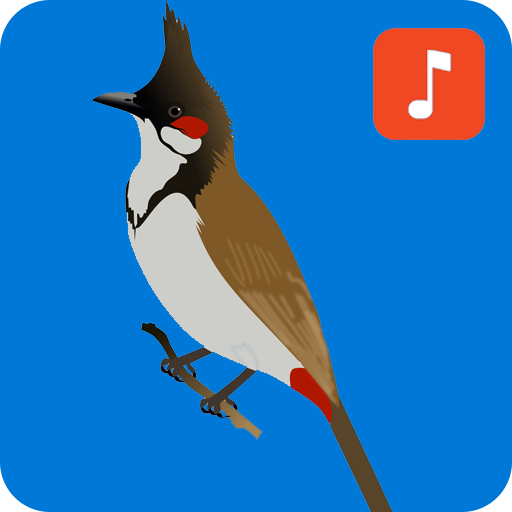 Bulbul Bird Ringtones icon