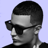 DJ Snake Full Song   Lyrics icon