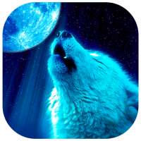 Lobos Fondos de Pantalla