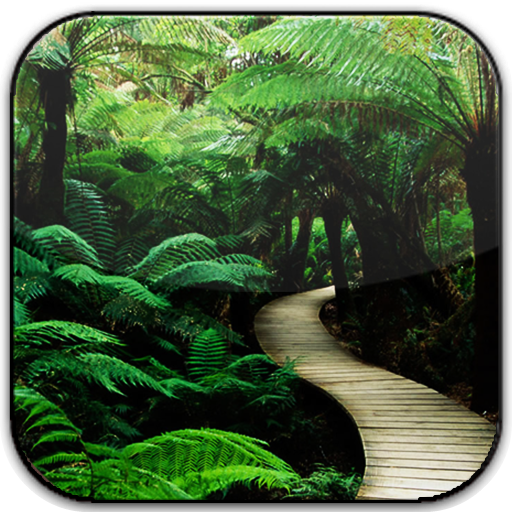 Nature Frames Photo Editor icon
