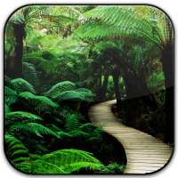 Nature Frames Photo Editor on 9Apps