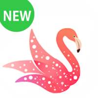 Free Yo Me Live - Live Stream Stickers