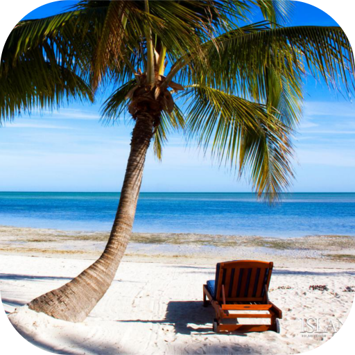 Florida Local News icon