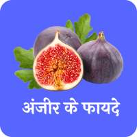 अंजीर के फायदे(Benefits of fig) on 9Apps