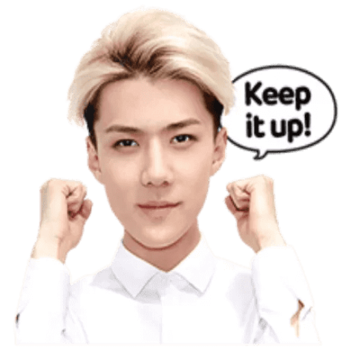 Sehun Stickers for WA icon