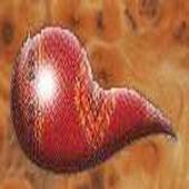 Mi Voz - Mis Oidos icon