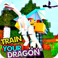 Addon Train Your Dragon