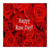 Rose Day