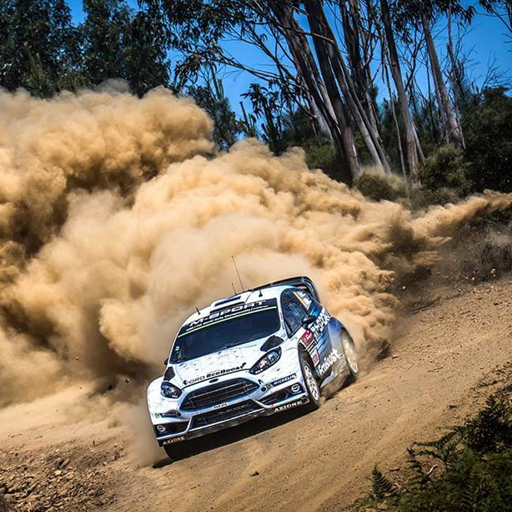 Rally Fury Wallpaper icon