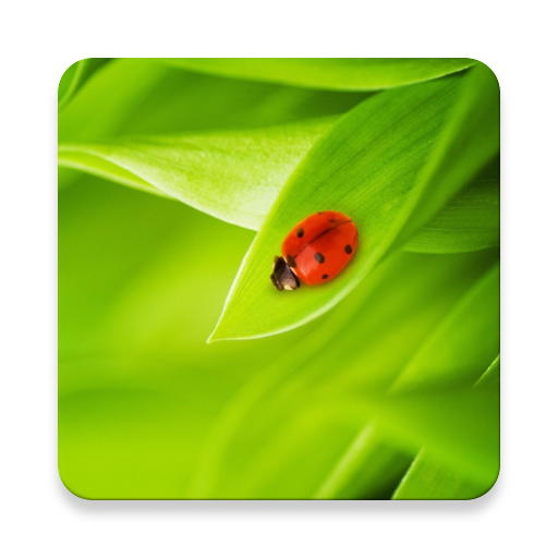 Nature Wallpaper HD icon