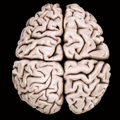 Positive Energy - Gamma Waves icon