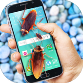 Real Cockroach run in phone Scary Simulator icon