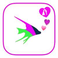 Guide For POF Plenty of Fish App