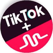 Free Filters Tik Tok;musically -2018 icon