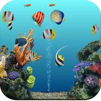 Aquarium Wallpaper HD on 9Apps