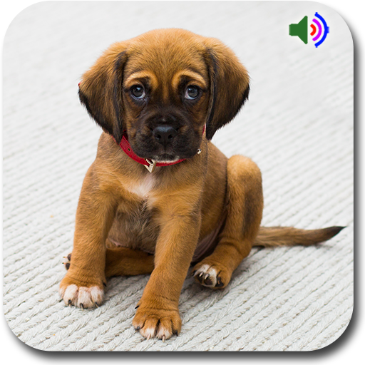 Dog Sounds Ringtones icon