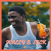 Wally B. Seck 2019 icon