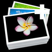 Aviary Editor for Facebook icon