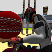 Bike Cricket 3D icon