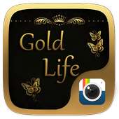 (FREE)Z CAMERA GOLD LIFE THEME on 9Apps