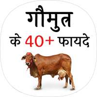 गौमुत्र के फायदे (benefit of Cow urine)