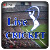 Live Cricket- Live cricket score,News