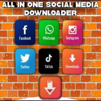Social Media Video Downloader