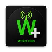 WIBR  Pro