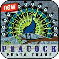 Peacock PhotoFrame on 9Apps