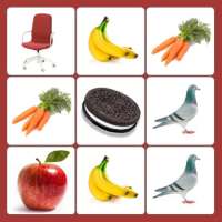 Picture Match Games, image matching game