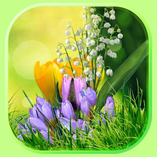 Spring Flowers Live Wallpaper icon