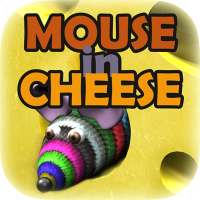 Mouse in Cheese: 3D game for cats