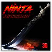 Ninja Warrior 3D