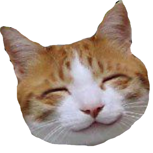 Free Funny Videos icon