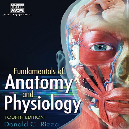 Psychology and Anatomy иконка