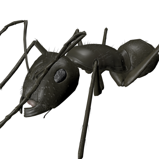 3D Ant Explorer Demo icon