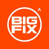 Bigfix Admin