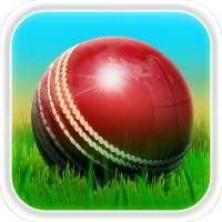 Cricket 3D