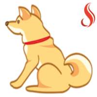 Catch me if you can!