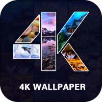 4K Wallpapers - Wallpaper Changer on 9Apps