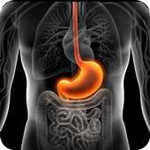 Gastritis Adios on 9Apps