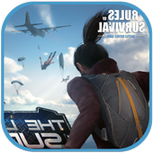 Tips Rules of Survival icon