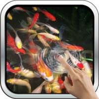 Baby-Koi: Water Effect on 9Apps