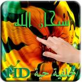 Water Ripple LWP (Islamic) on 9Apps