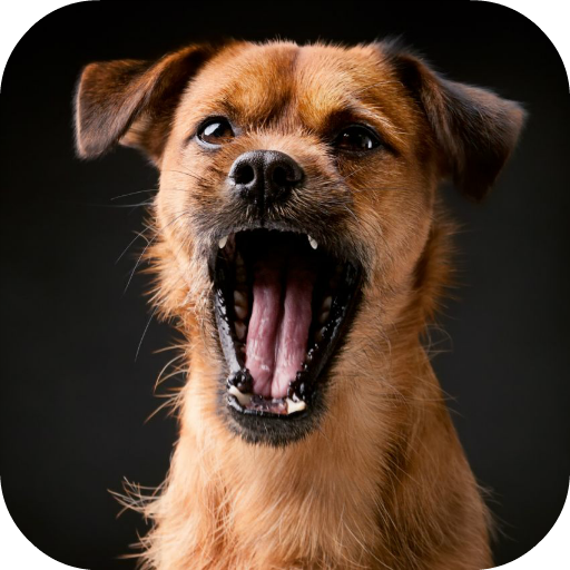 Dog Sound icon