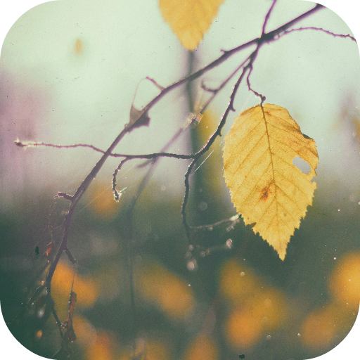 Vintage Wallpapers icon