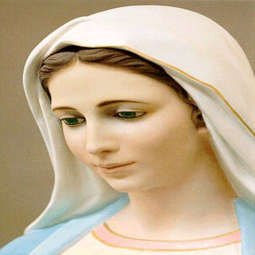 Virgin Mary Wallpaper icon