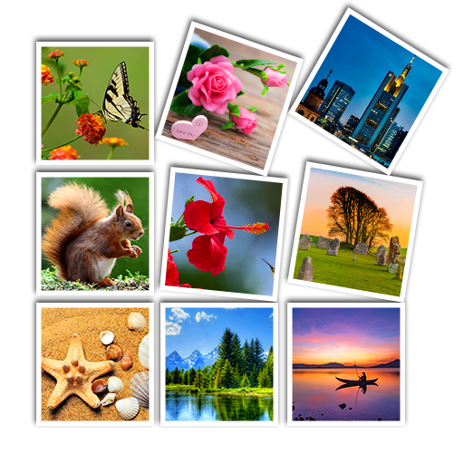 Live Wallpapers Animated, Background 3D/HD/4k 2020 icon